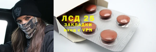 ПСИЛОЦИБИНОВЫЕ ГРИБЫ Верхнеуральск