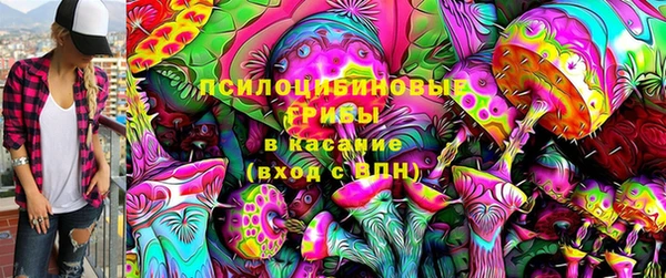 ПСИЛОЦИБИНОВЫЕ ГРИБЫ Верхнеуральск