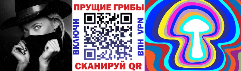 Галлюциногенные грибы Psilocybine cubensis  Купить где  Урус-Мартан 