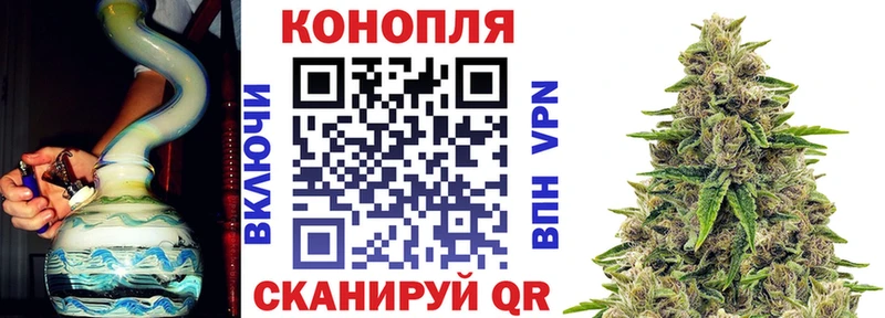 Каннабис семена  Купить закладки  Урус-Мартан 